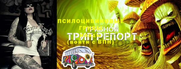 кокс Няндома